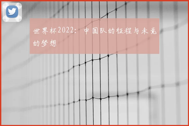 世界杯2022:中国队的征程与未竟的梦想